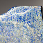 Genuine Polished Lapis Lazuli Freeform // 2.4 lb