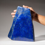 Genuine Polished Lapis Lazuli Freeform // 9.5 lb