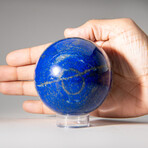 Genuine Polished Lapis Lazuli Sphere + Acrylic Display Stand // 2 lb