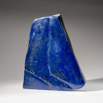 Genuine Polished Lapis Lazuli Freeform // 9.5 lb