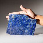 Genuine Polished Lapis Lazuli Freeform // 2.4 lb