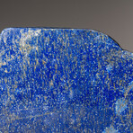 Genuine Polished Lapis Lazuli Freeform // 2.4 lb