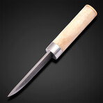 Scandinavian Style Bone Handle Viking Knife