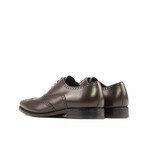 James Wingtip Derby // Brown (US 7 // D // Regular)