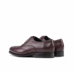 James Wingtip Derby // Burgundy (US 7 // D // Regular)