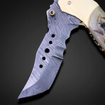 TIger Scrimshaw Folding Pocket Knife