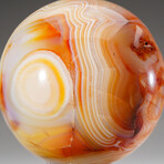 Genuine Polished Carnelian Sphere with Acrylic Display Stand // 3.5 lb