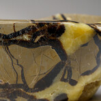 Genuine Polished Septarian Bowl // 3.5 lb