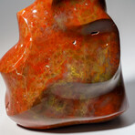 Genuine Polished Petrified Wood Freeform Flame // 3.5 lb