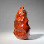 Genuine Polished Petrified Wood Freeform Flame // 2.5 lb