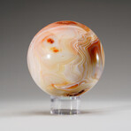 Genuine Polished Carnelian Sphere with Acrylic Display Stand // 3.5 lb