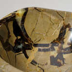 Genuine Polished Septarian Bowl // 3.5 lb