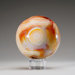 Genuine Polished Carnelian Sphere with Acrylic Display Stand // 3.5 lb