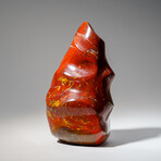 Genuine Polished Petrified Wood Freeform Flame // 2.5 lb