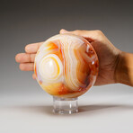 Genuine Polished Carnelian Sphere with Acrylic Display Stand // 3.5 lb