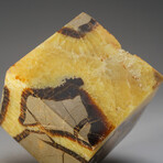 Genuine Polished Septarian Cube // 2.5 lb