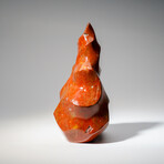 Genuine Polished Petrified Wood Freeform Flame // 3.5 lb