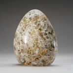 Genuine Polished Chevron Amethyst Freeform // 4 lb