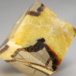 Genuine Polished Septarian Cube // 2.5 lb