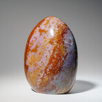 Genuine Polished Ocean Jasper Freeform V.2 // 3 lb