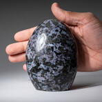 Genuine Polished Indigo Gabbro Freeform (Medium)