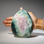 Genuine Polished Ocean Jasper Freeform V.1 // 3 lb