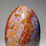 Genuine Polished Ocean Jasper Freeform V.2 // 3 lb