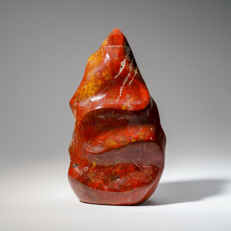 Genuine Polished Petrified Wood Freeform Flame // 2.5 lb