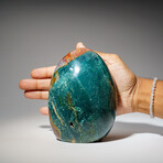 Genuine Polished Ocean Jasper Freeform V.2 // 3 lb