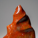 Genuine Polished Petrified Wood Freeform Flame // 3.5 lb