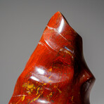 Genuine Polished Petrified Wood Freeform Flame // 2.5 lb