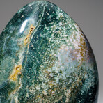 Genuine Polished Ocean Jasper Freeform V.1 // 3 lb