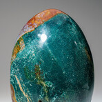 Genuine Polished Ocean Jasper Freeform V.2 // 3 lb