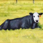 White Face Bull Cow Cattle Oil Painting