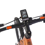 Head E-Terrain Shimano Deore Gravel E-Bike // 700c // Bronze (51cm (5'5"- 5'8"))