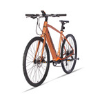 Head E-Terrain Shimano Deore Gravel E-Bike // 700c // Bronze (51cm (5'5"- 5'8"))