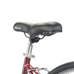 Head Strada Step-Thru Comfort Bike // 700c (Small)