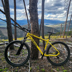 Berm Hardtail Mountain Bike // 29 inch (Large)