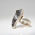 Genuine Canyon Diablo Meteorite Adjustable Sterling Silver Ring