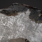Genuine Muonionalusta Meteorite Slice with Acrylic Display Stand // 7.5 lbs
