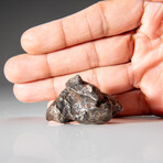 Genuine Sikhote-Alin Meteorite // 73.6 g