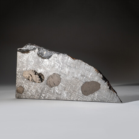 Genuine Muonionalusta Meteorite Slice with Acrylic Display Stand // 7.5 lbs