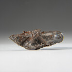 Genuine Sikhote-Alin Meteorite // 64.9 g