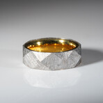 Genuine Natural Seymchan Meteorite Ring with Gold Inner-Bezel (Size 5)