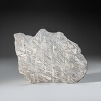 Genuine Muonionalusta Meteorite Slice with Acrylic Display Stand // 412.6 g