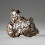 Genuine Sikhote-Alin Meteorite // 65.5 g