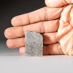 Genuine Muonionalusta Meteorite Slice with Acrylic Display Stand // 8.7 g
