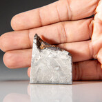 Genuine Muonionalusta Meteorite Slice with Acrylic Display Stand // 35.9 g
