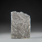 Genuine Muonionalusta Meteorite Slice with Acrylic Display Stand // 8.7 g