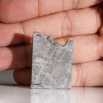 Genuine Natural Muonionalusta Meteorite Slice V2 // 9.9 g